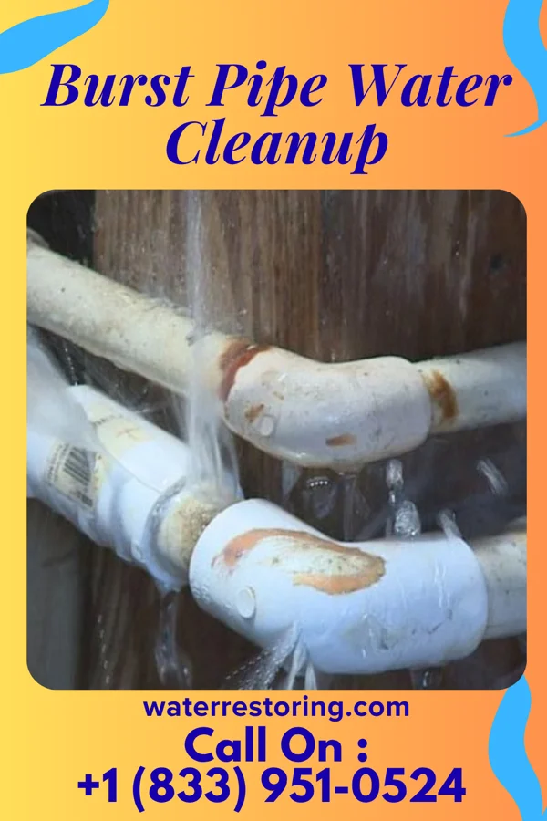 Burst Pipe Water Cleanup in Thomasboro, IL