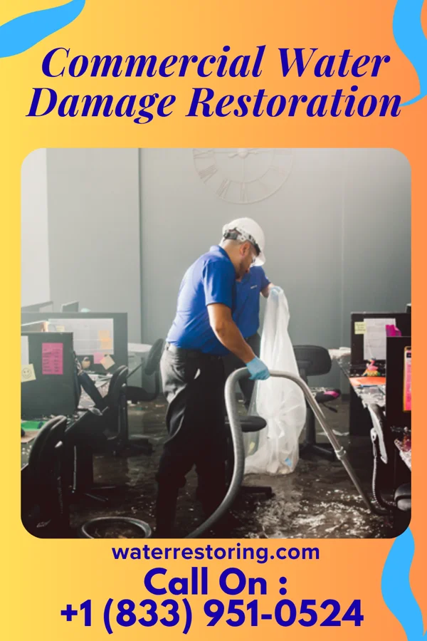 Commercial Water Damage Restoration in Thomasboro, IL