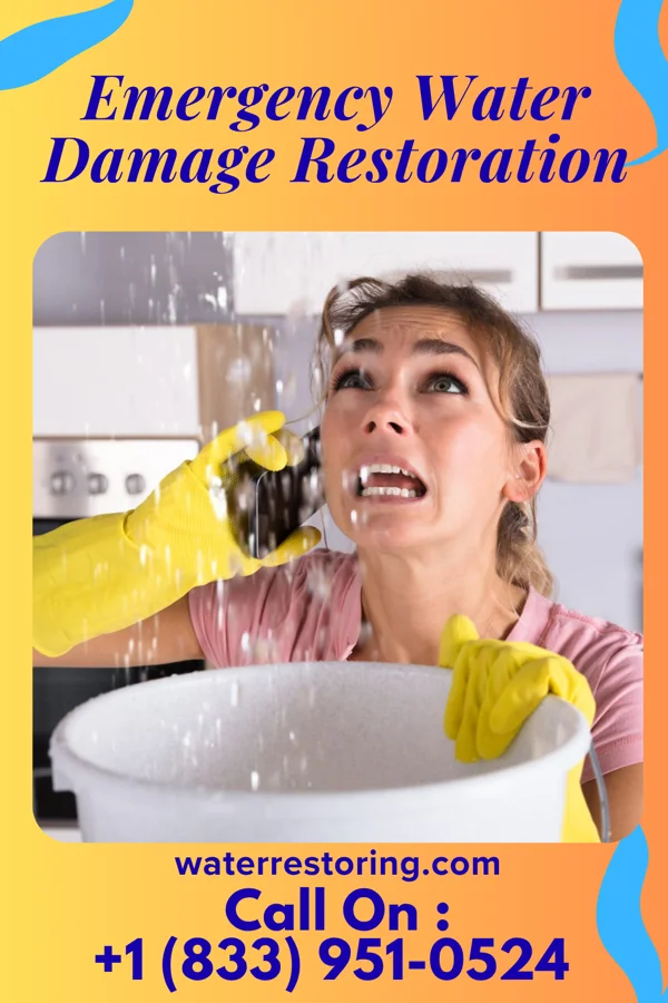 Emergency Water Damage Restoration in Thomasboro, IL