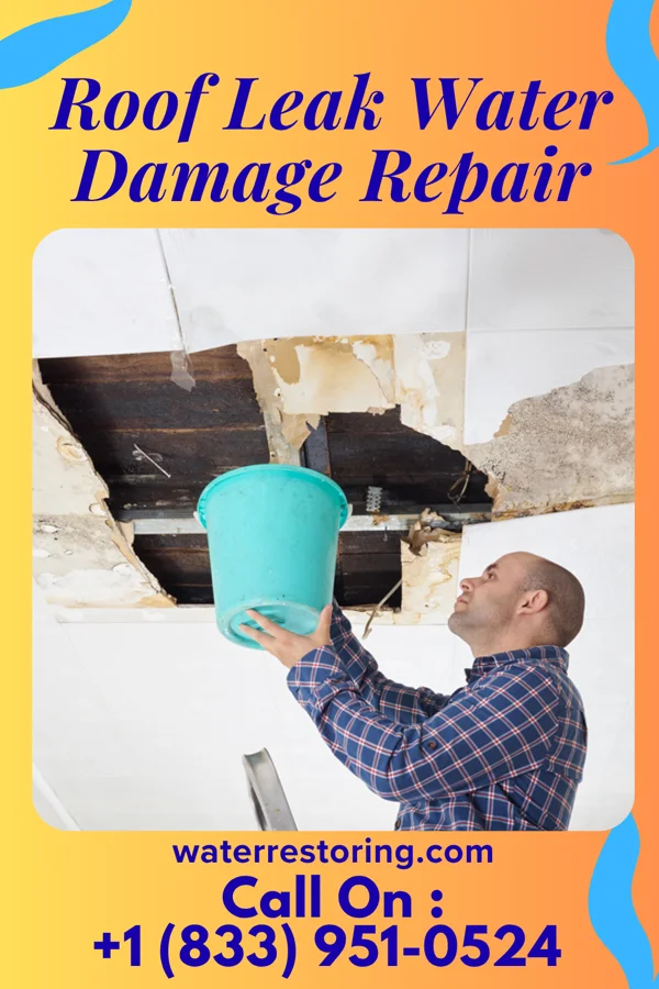 Roof Leak Water Damage Repair in Thomasboro, IL